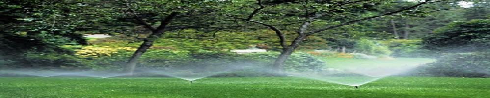 lawn care banner 998x200 jpg